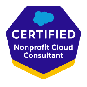 Nonprofit Cloud Consultant