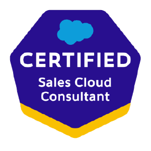 Sales Cloud Consultant