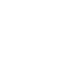 Our Vision